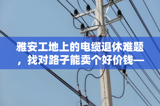 雅安工地上的电缆退休难题，找对路子能卖个好价钱—重型铠装低烟无卤电缆回收全解析
