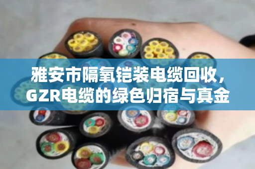 雅安市隔氧铠装电缆回收,GZR电缆的绿色归宿与真金白银 雅安市隔氧铠装电缆回收,GZR电缆的绿色归宿与真金白银