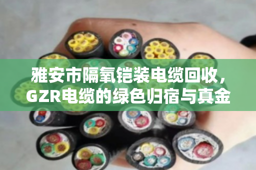 雅安市隔氧铠装电缆回收,GZR电缆的绿色归宿与真金白银 雅安市隔氧铠装电缆回收,GZR电缆的绿色归宿与真金白银