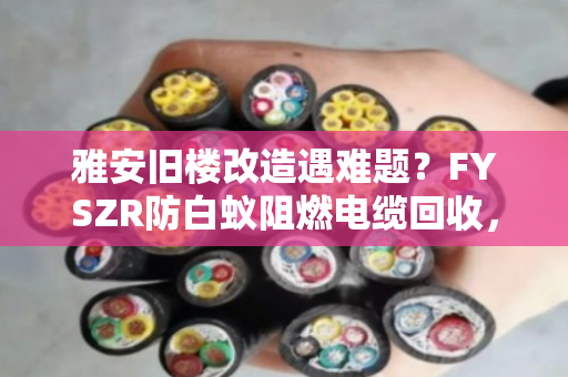 雅安旧楼改造遇难题?FYSZR防白蚁阻燃电缆回收,别让隐形杀手废了整栋楼 雅安旧楼改造遇难题?FYSZR防白蚁阻燃电缆回收,别让隐形杀手废了整栋楼