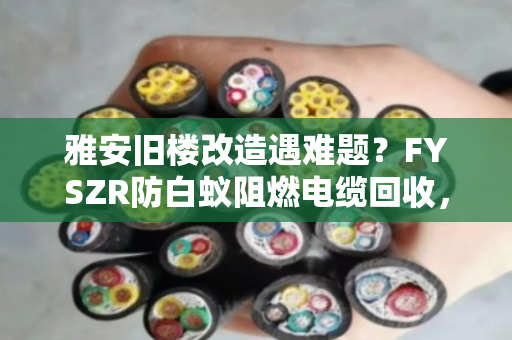 雅安旧楼改造遇难题?FYSZR防白蚁阻燃电缆回收,别让隐形杀手废了整栋楼 雅安旧楼改造遇难题?FYSZR防白蚁阻燃电缆回收,别让隐形杀手废了整栋楼