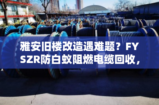 雅安旧楼改造遇难题？FYSZR防白蚁阻燃电缆回收，别让隐形杀手废了整栋楼