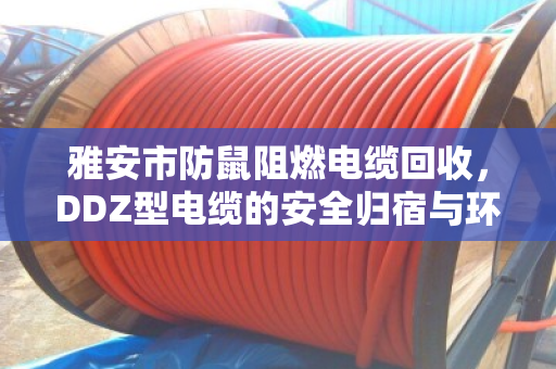 雅安市防鼠阻燃电缆回收,DDZ型电缆的安全归宿与环保重生 雅安市防鼠阻燃电缆回收,DDZ型电缆的安全归宿与环保重生