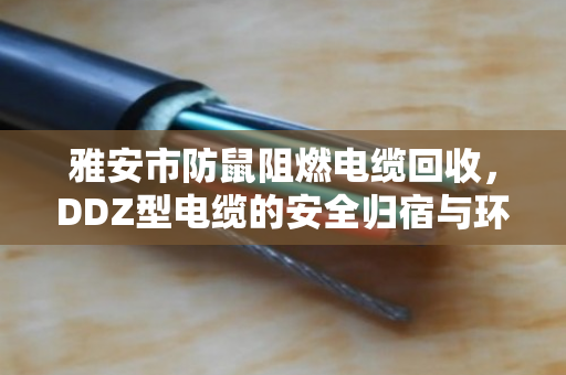 雅安市防鼠阻燃电缆回收,DDZ型电缆的安全归宿与环保重生 雅安市防鼠阻燃电缆回收,DDZ型电缆的安全归宿与环保重生