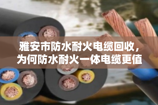 雅安市防水耐火电缆回收,为何防水耐火一体电缆更值钱?泊祎回收手记 雅安市防水耐火电缆回收,为何防水耐火一体电缆更值钱?泊祎回收手记