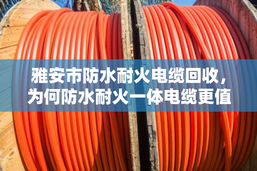 雅安市防水耐火电缆回收，为何防水耐火一体电缆更值钱？泊祎回收手记