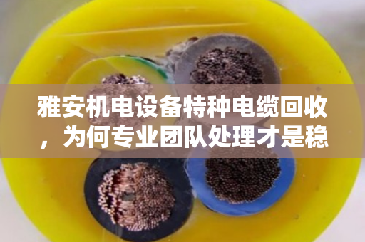 雅安机电设备特种电缆回收,为何专业团队处理才是稳赚不赔的选择? 雅安机电设备特种电缆回收,为何专业团队处理才是稳赚不赔的选择?