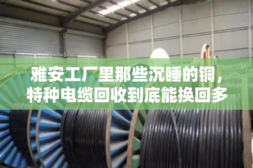 雅安工厂里那些沉睡的铜,特种电缆回收到底能换回多少真金白银? 雅安工厂里那些沉睡的铜,特种电缆回收到底能换回多少真金白银?
