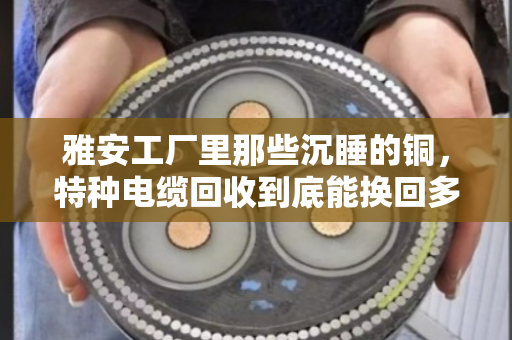雅安工厂里那些沉睡的铜,特种电缆回收到底能换回多少真金白银? 雅安工厂里那些沉睡的铜,特种电缆回收到底能换回多少真金白银?