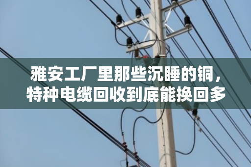 雅安工厂里那些沉睡的铜，特种电缆回收到底能换回多少真金白银？