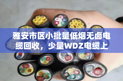 雅安市区小批量低烟无卤电缆回收,少量WDZ电缆上门处理,泊祎回收让废线变现金 雅安市区小批量低烟无卤电缆回收,少量WDZ电缆上门处理,泊祎回收让废线变现金