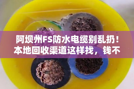 阿坝州FS防水电缆别乱扔!本地回收渠道这样找,钱不少卖还省心 阿坝州FS防水电缆别乱扔!本地回收渠道这样找,钱不少卖还省心