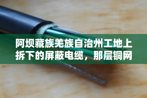 阿坝藏族羌族自治州工地上拆下的屏蔽电缆,那层铜网到底值不值得专门回收? 阿坝藏族羌族自治州工地上拆下的屏蔽电缆,那层铜网到底值不值得专门回收?