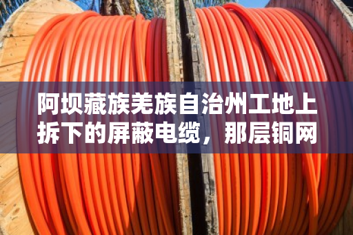 阿坝藏族羌族自治州工地上拆下的屏蔽电缆,那层铜网到底值不值得专门回收? 阿坝藏族羌族自治州工地上拆下的屏蔽电缆,那层铜网到底值不值得专门回收?