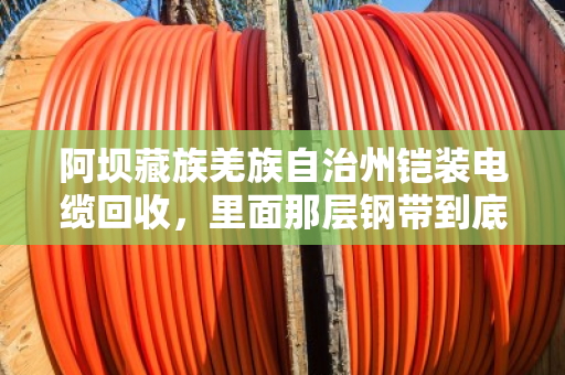 阿坝藏族羌族自治州铠装电缆回收,里面那层钢带到底算不算钱? 阿坝藏族羌族自治州铠装电缆回收,里面那层钢带到底算不算钱?
