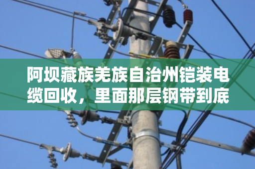阿坝藏族羌族自治州铠装电缆回收，里面那层钢带到底算不算钱？