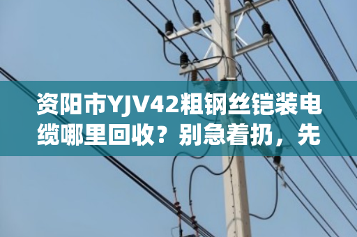 资阳市YJV42粗钢丝铠装电缆哪里回收?别急着扔,先看看这篇门道 资阳市YJV42粗钢丝铠装电缆哪里回收?别急着扔,先看看这篇门道