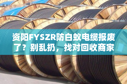 资阳FYSZR防白蚁电缆报废了?别乱扔,找对回收商家门道多 资阳FYSZR防白蚁电缆报废了?别乱扔,找对回收商家门道多