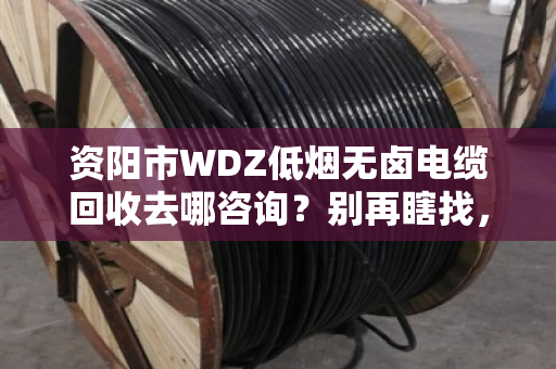 资阳市WDZ低烟无卤电缆回收去哪咨询？别再瞎找，看这篇就够了
