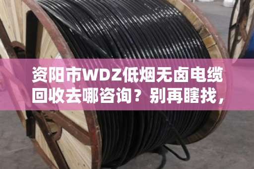 资阳市WDZ低烟无卤电缆回收去哪咨询？别再瞎找，看这篇就够了