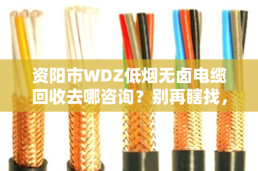 资阳市WDZ低烟无卤电缆回收去哪咨询？别再瞎找，看这篇就够了