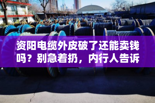 资阳电缆外皮破了还能卖钱吗?别急着扔,内行人告诉你回收门道 资阳电缆外皮破了还能卖钱吗?别急着扔,内行人告诉你回收门道