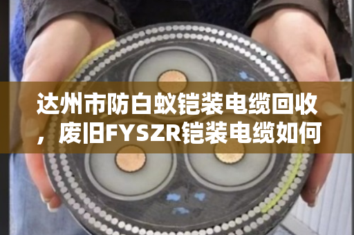 达州市防白蚁铠装电缆回收,废旧FYSZR铠装电缆如何高价变现?泊祎回收给您讲透 达州市防白蚁铠装电缆回收,废旧FYSZR铠装电缆如何高价变现?泊祎回收给您讲透