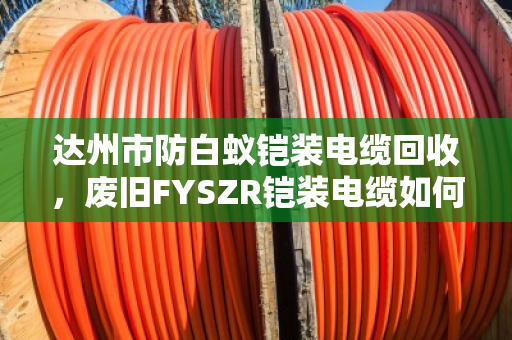 达州市防白蚁铠装电缆回收,废旧FYSZR铠装电缆如何高价变现?泊祎回收给您讲透 达州市防白蚁铠装电缆回收,废旧FYSZR铠装电缆如何高价变现?泊祎回收给您讲透