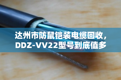 达州市防鼠铠装电缆回收,DDZ-VV22型号到底值多少钱?泊祎回收告诉你门道 达州市防鼠铠装电缆回收,DDZ-VV22型号到底值多少钱?泊祎回收告诉你门道