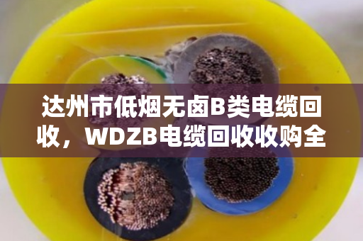 达州市低烟无卤B类电缆回收,WDZB电缆回收收购全攻略,环保变现与安全处置两不误 达州市低烟无卤B类电缆回收,WDZB电缆回收收购全攻略,环保变现与安全处置两不误