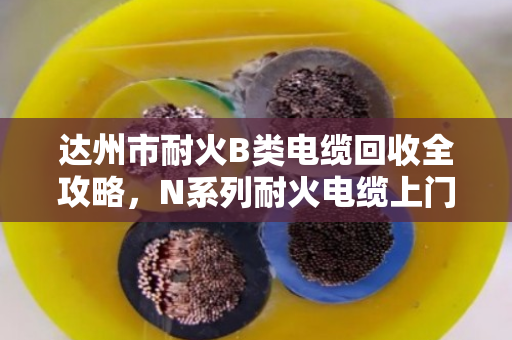 达州市耐火B类电缆回收全攻略，N系列耐火电缆上门估价省心又透明