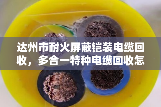 达州市耐火屏蔽铠装电缆回收，多合一特种电缆回收怎么选？老牌回收商泊祎回收给你讲透门道