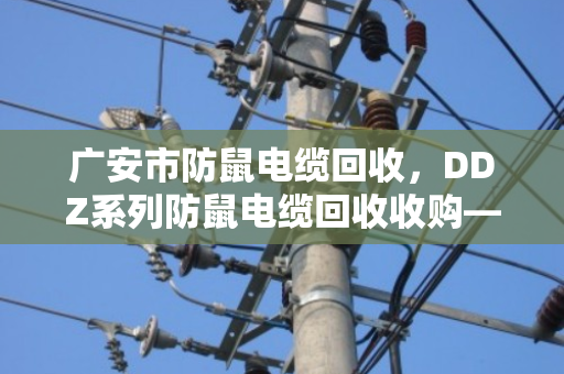 广安市防鼠电缆回收,DDZ系列防鼠电缆回收收购—专业处理,让闲置线缆变成真金白银 广安市防鼠电缆回收,DDZ系列防鼠电缆回收收购—专业处理,让闲置线缆变成真金白银