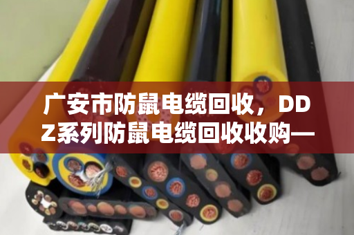 广安市防鼠电缆回收,DDZ系列防鼠电缆回收收购—专业处理,让闲置线缆变成真金白银 广安市防鼠电缆回收,DDZ系列防鼠电缆回收收购—专业处理,让闲置线缆变成真金白银