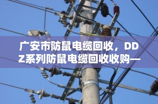 广安市防鼠电缆回收，DDZ系列防鼠电缆回收收购—专业处理，让闲置线缆变成真金白银