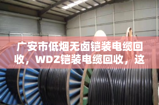 广安市低烟无卤铠装电缆回收,WDZ铠装电缆回收,这份卖废线的生意经请收好 广安市低烟无卤铠装电缆回收,WDZ铠装电缆回收,这份卖废线的生意经请收好