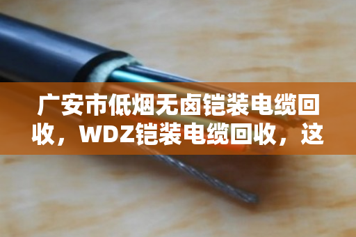 广安市低烟无卤铠装电缆回收,WDZ铠装电缆回收,这份卖废线的生意经请收好 广安市低烟无卤铠装电缆回收,WDZ铠装电缆回收,这份卖废线的生意经请收好