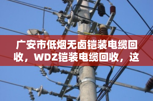 广安市低烟无卤铠装电缆回收，WDZ铠装电缆回收，这份卖废线的生意经请收好