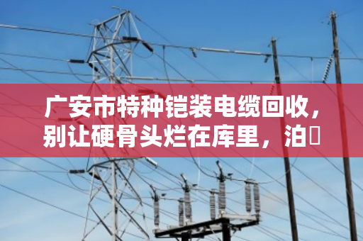广安市特种铠装电缆回收，别让硬骨头烂在库里，泊祎回收帮你变废为宝