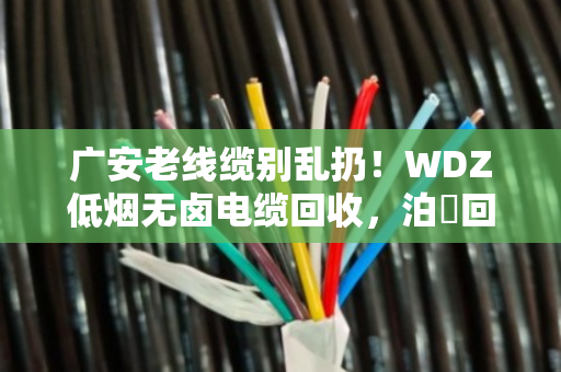 广安老线缆别乱扔！WDZ低烟无卤电缆回收，泊祎回收高价上门，省心又划算