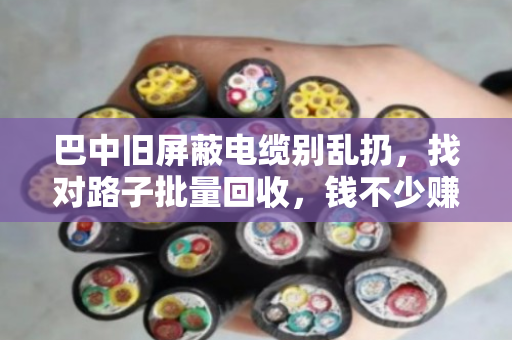 巴中旧屏蔽电缆别乱扔,找对路子批量回收,钱不少赚还环保 巴中旧屏蔽电缆别乱扔,找对路子批量回收,钱不少赚还环保