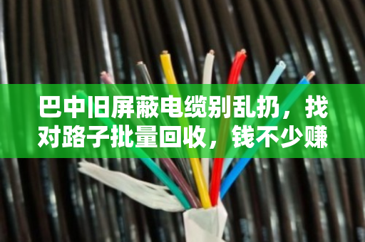 巴中旧屏蔽电缆别乱扔,找对路子批量回收,钱不少赚还环保 巴中旧屏蔽电缆别乱扔,找对路子批量回收,钱不少赚还环保