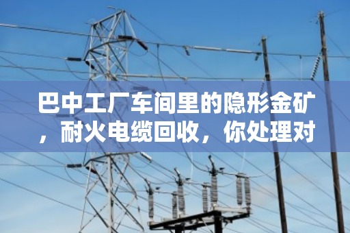 巴中工厂车间里的隐形金矿,耐火电缆回收,你处理对了吗? 巴中工厂车间里的隐形金矿,耐火电缆回收,你处理对了吗?