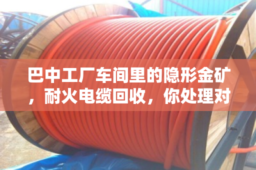 巴中工厂车间里的隐形金矿,耐火电缆回收,你处理对了吗? 巴中工厂车间里的隐形金矿,耐火电缆回收,你处理对了吗?