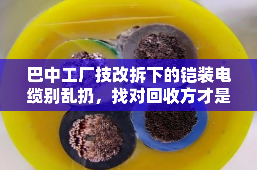 巴中工厂技改拆下的铠装电缆别乱扔，找对回收方才是真省钱
