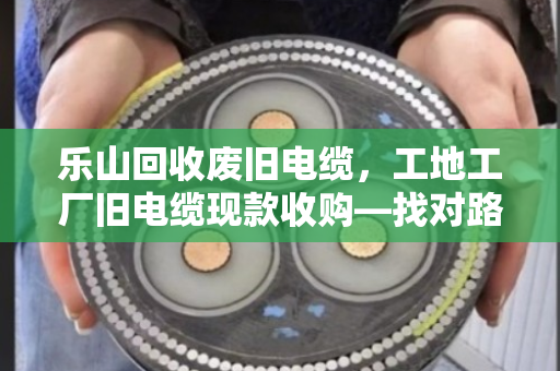 乐山回收废旧电缆,工地工厂旧电缆现款收购—找对路子,废料变真金 乐山回收废旧电缆,工地工厂旧电缆现款收购—找对路子,废料变真金