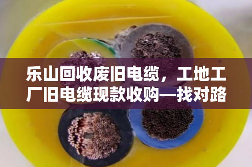 乐山回收废旧电缆，工地工厂旧电缆现款收购—找对路子，废料变真金