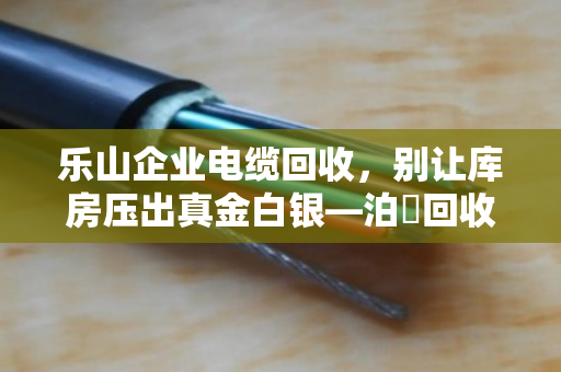 乐山企业电缆回收，别让库房压出真金白银—泊祎回收上门清库，省心又划算
