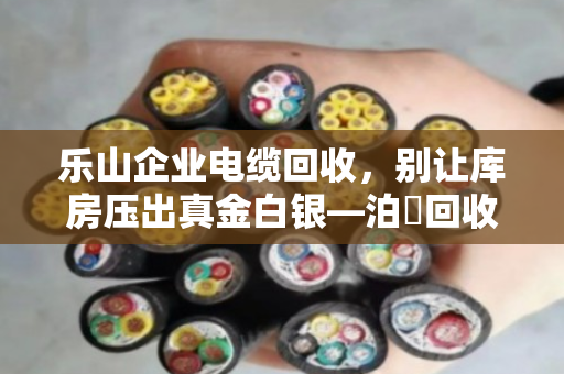 乐山企业电缆回收，别让库房压出真金白银—泊祎回收上门清库，省心又划算