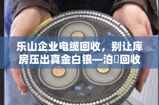 乐山企业电缆回收，别让库房压出真金白银—泊祎回收上门清库，省心又划算